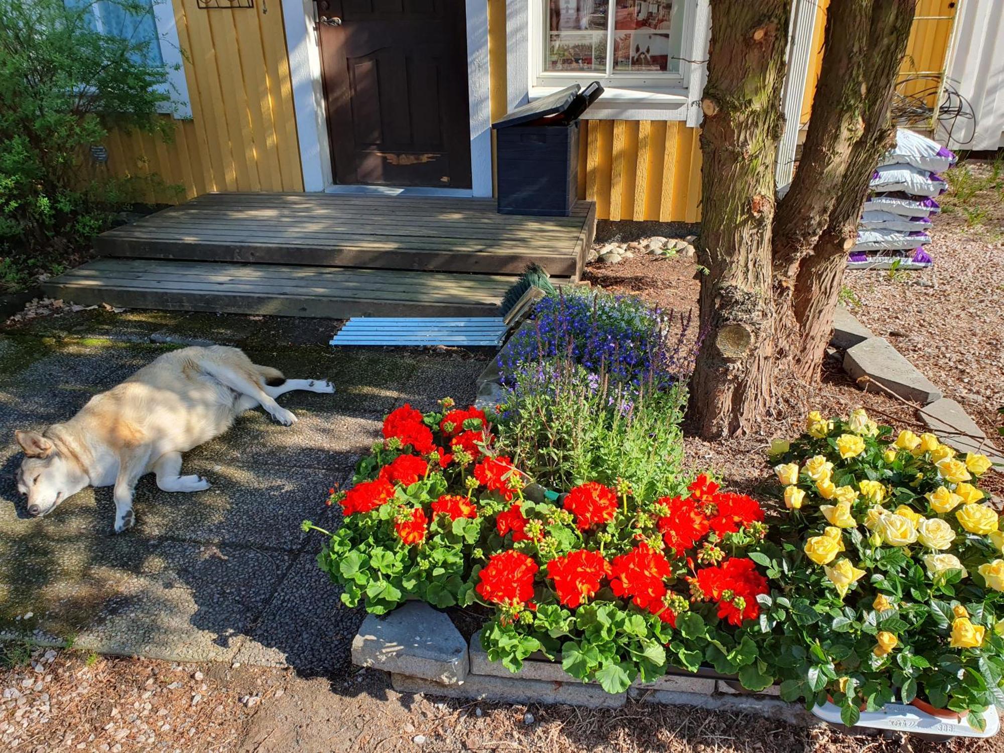 Affittacamere Siirilaen Tila Seinäjoki Esterno foto