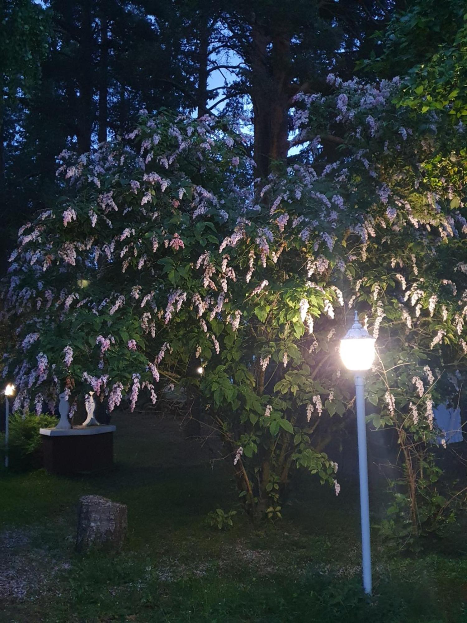 Affittacamere Siirilaen Tila Seinäjoki Esterno foto