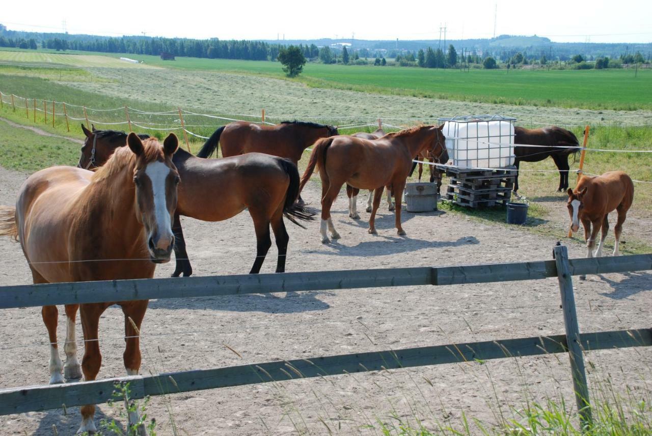 Affittacamere Siirilaen Tila Seinäjoki Esterno foto